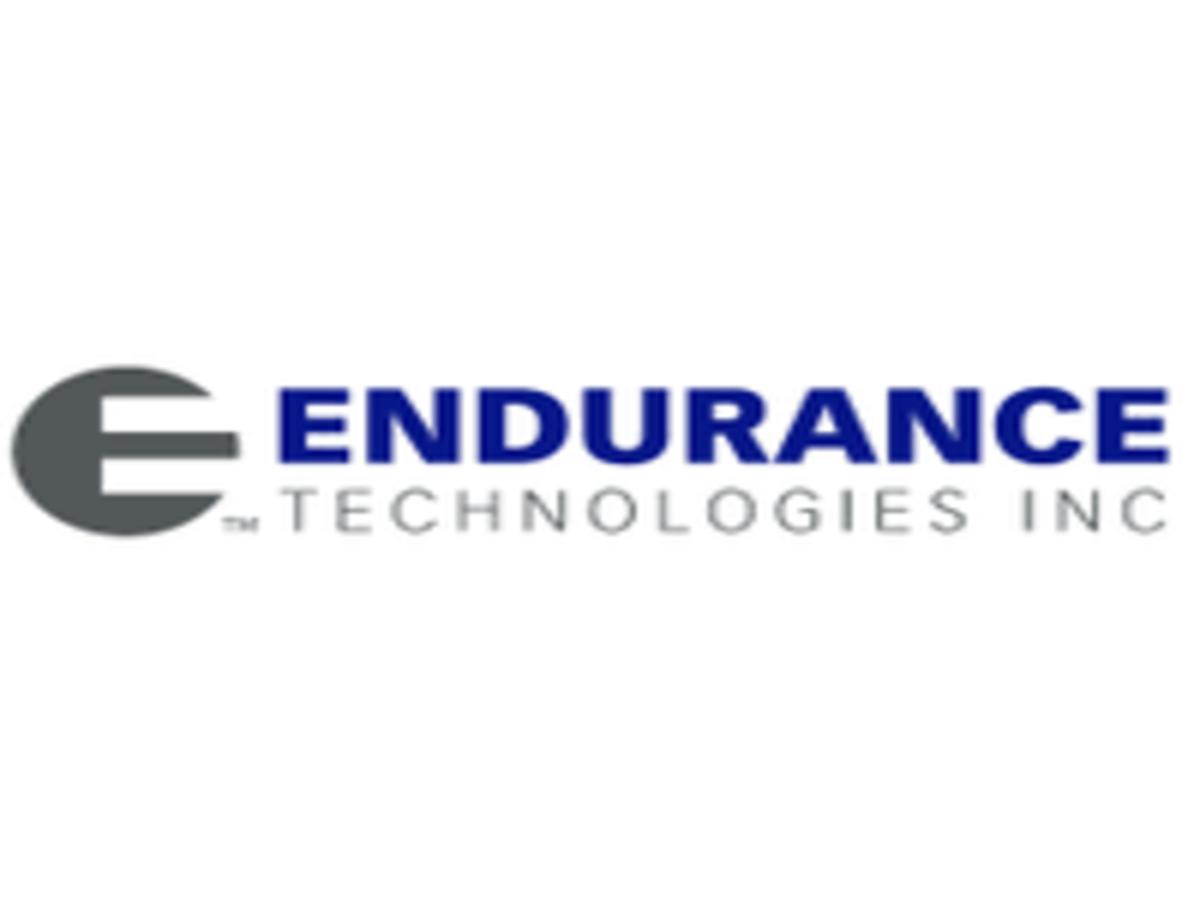 Endurance logo